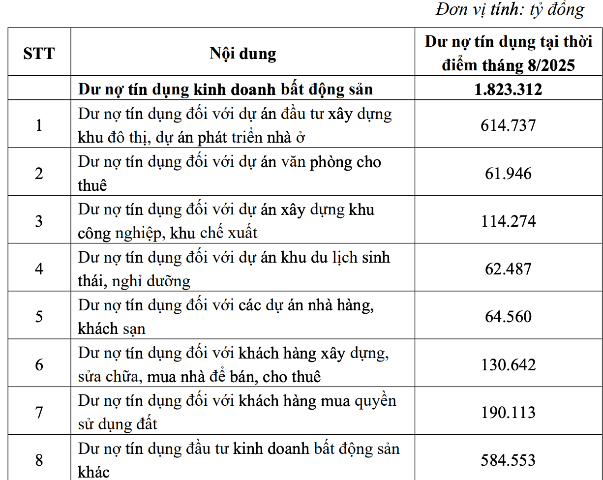 Bảng kê chi tiết tín dụng bất động sản (ảnh: N.M). Bảng kê chi tiết tín dụng bất động sản (ảnh: N.M).