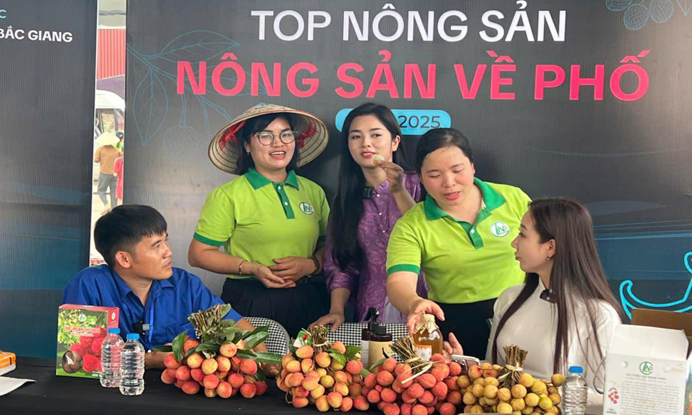 Thương mại điện tử: Giúp khu vực kinh tế tư nhân Bắc Ninh tăng sức cạnh tranh