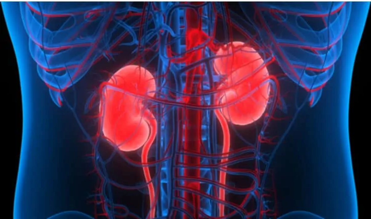 Người bệnh cao huyết áp nên cảnh giác với các dấu hiệu suy thận sớm Người bệnh cao huyết áp nên cảnh giác với các dấu hiệu suy thận sớm