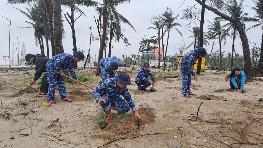 Tuổi trẻ Bộ Tư lệnh Vùng Cảnh sát biển 1 phối hợp trồng hơn 1 vạn cây phi lao chắn sóng