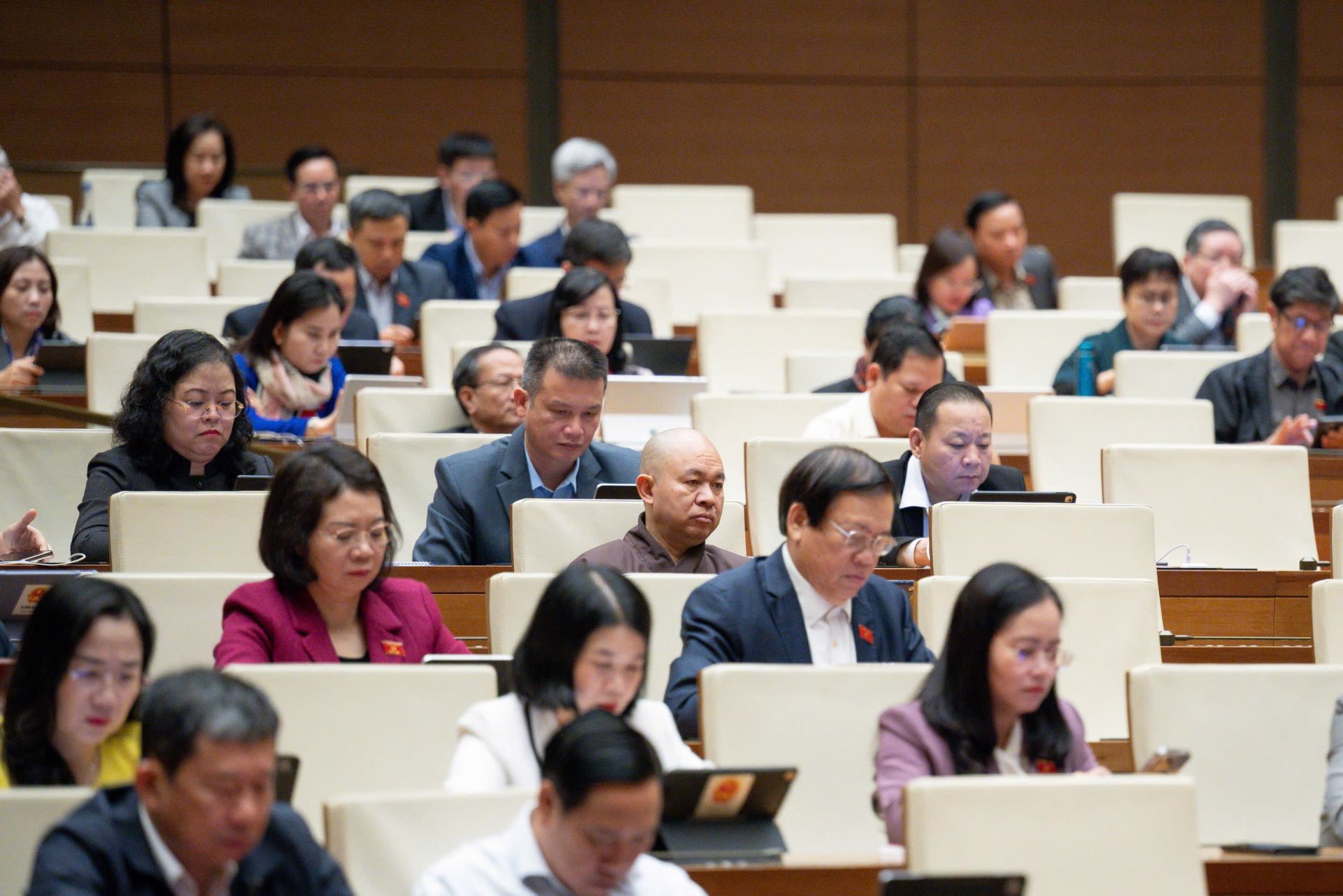 Đại biểu tham gia Phiên họp