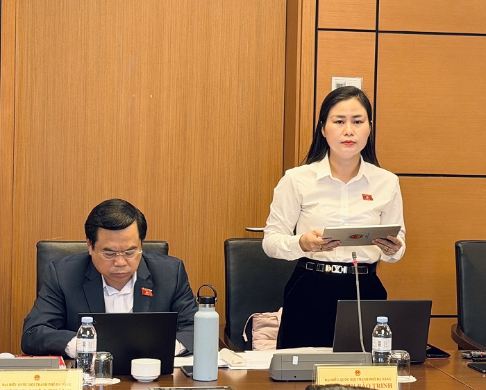 Đại biểu Đặng Thị Bảo Trinh - Đoàn ĐBQH TP. Đà Nẵng phát biểu Đại biểu Đặng Thị Bảo Trinh - Đoàn ĐBQH TP. Đà Nẵng phát biểu