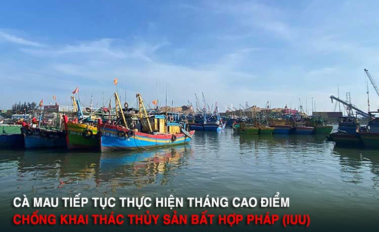 Ảnh minh hoạ Ảnh minh hoạ