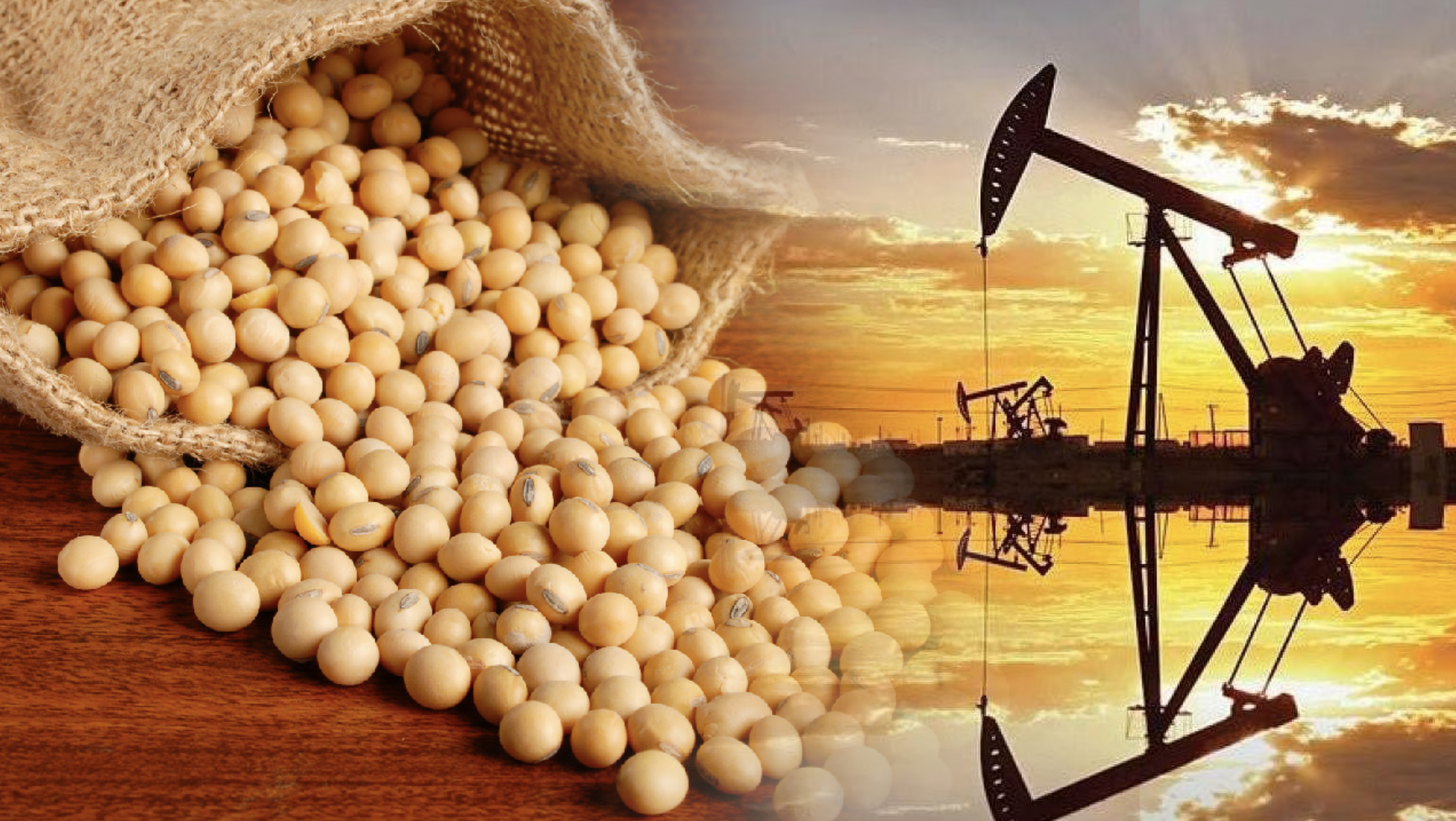 Thị trường hàng hóa thế giới giằng co mạnh sau cuộc gặp Mỹ - Trung