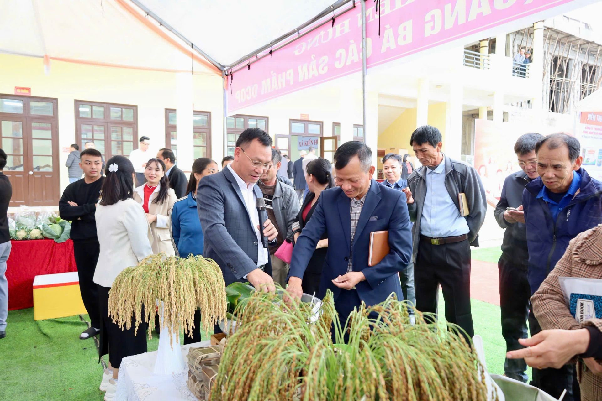 Xã Kiến Hưng đẩy mạnh tái cơ cấu nông nghiệp trong vụ Đông – Xuân 2026