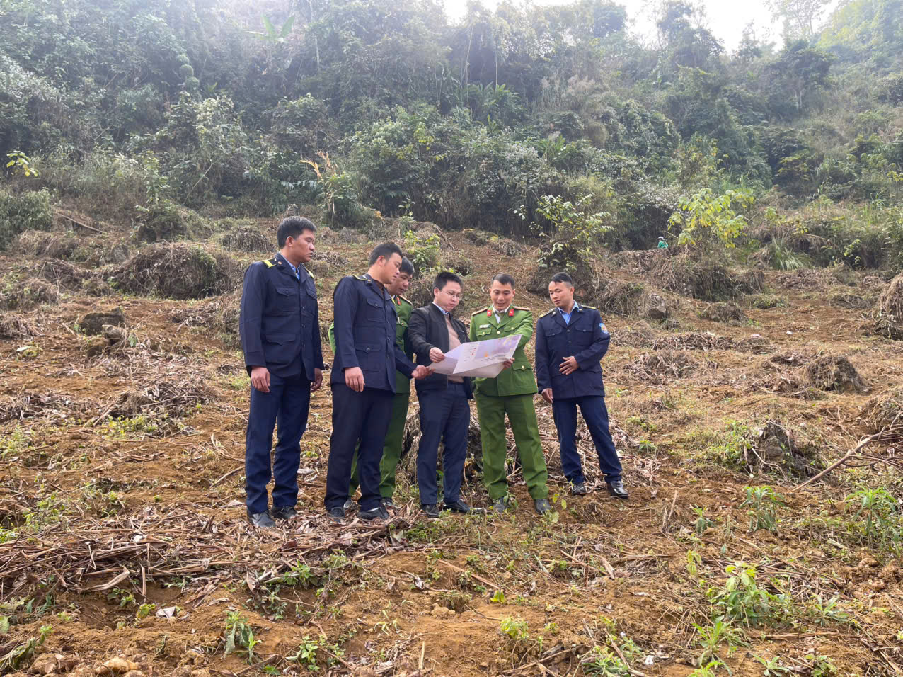 Mỏ Đông Pao (Lai Châu) hiện tại được biết đến là mỏ đất hiếm lớn nhất Việt Nam. (Ảnh: congan.laichau.gov.vn)