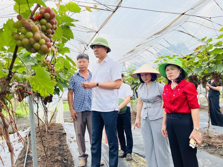 Nhiều mô hình khuyến nông mang lại hiệu quả giá trị kinh tế cao.