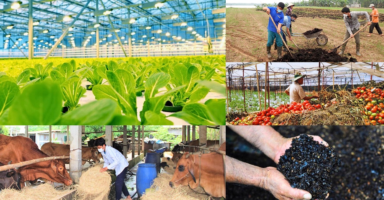 Nông nghiệp carbon thấp – Chìa khóa mở cánh cửa kinh tế xanh cho Việt Nam