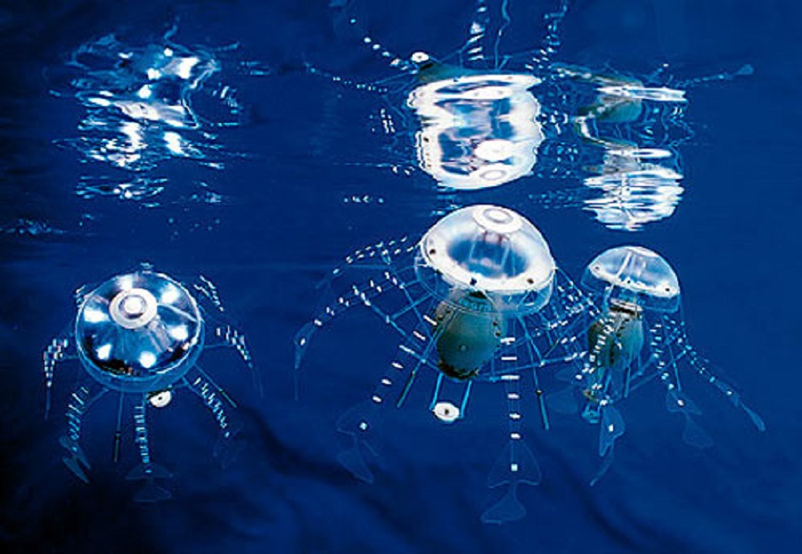 Robot sứa sinh học: Bước tiến mới trong công nghệ giám sát dưới biển sâu