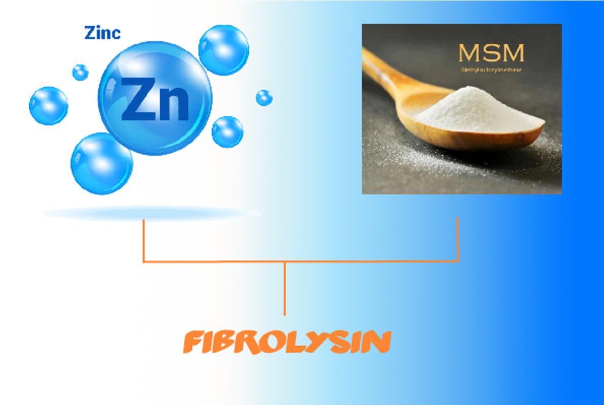 Fibrolysin hỗ trợ thanh phế, giảm viêm, giảm đờm, giảm ho