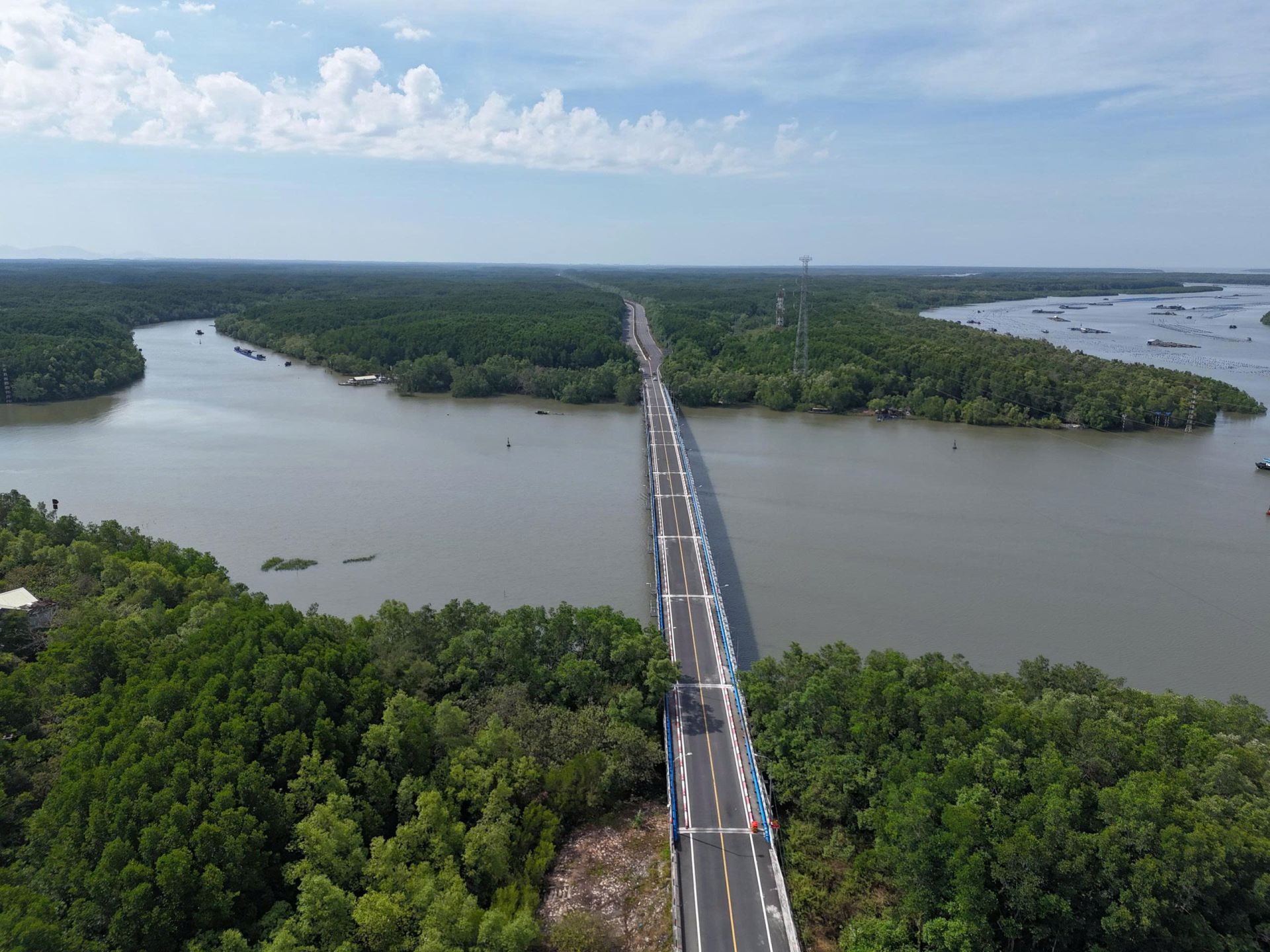 TP. HCM phê duyệt phương án quản lý rừng phòng hộ Cần Giờ