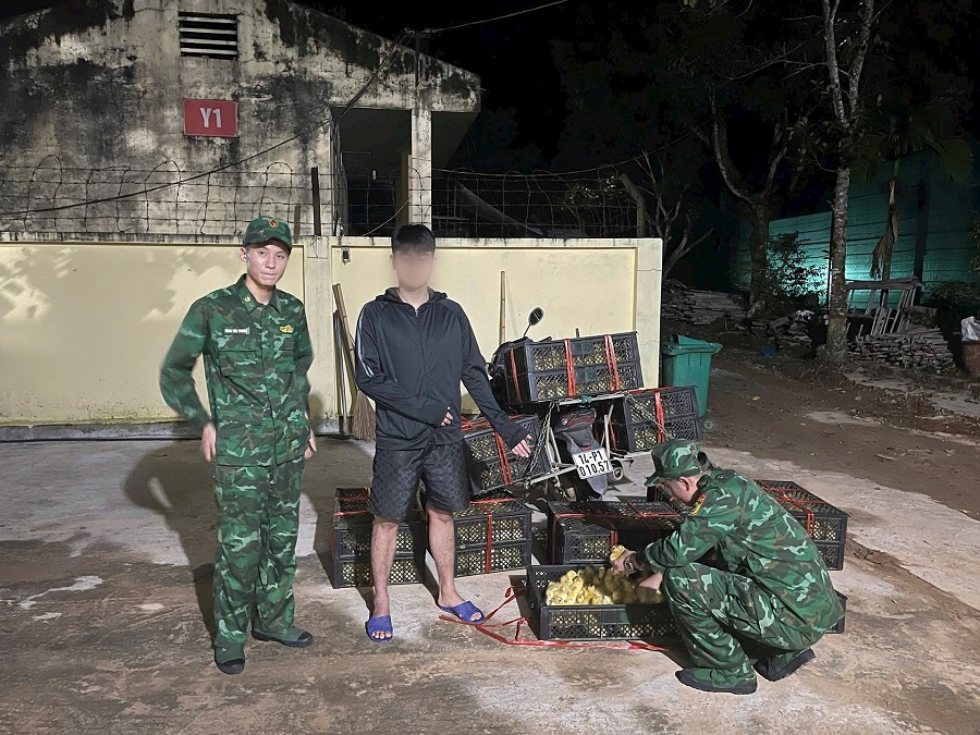 Bộ đội Biên phòng Quảng Ninh bắt giữ đối tượng vận chuyển trái phép 1.800 con ngan giống