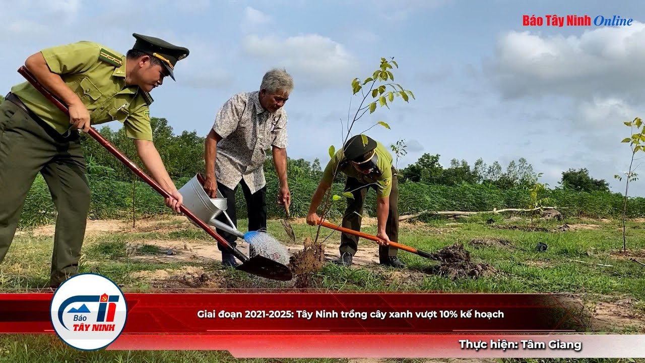 Tây Ninh vượt chỉ tiêu thực hiện Đề án ‘Trồng một tỷ cây xanh giai đoạn 2021 – 2025’