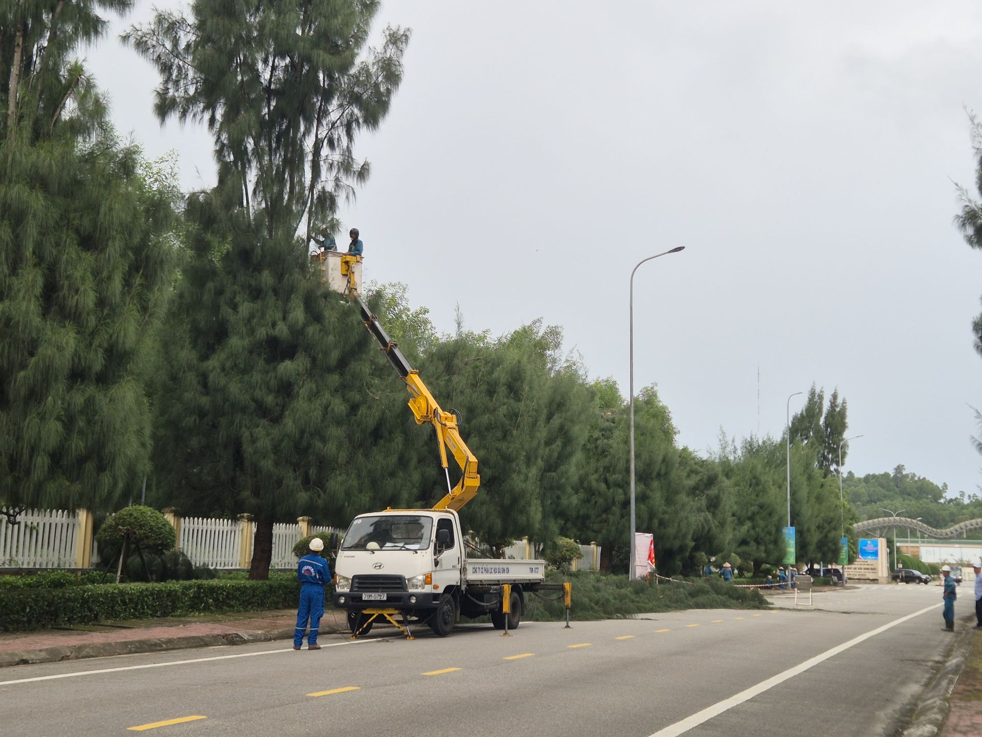 BSR triển khai việc cắt tỉa c&acirc;nh xanh để đảm bảo an to&agrave;n cho người v&agrave; hạ tầng tại Nh&agrave; m&aacute;y Lọc dầu Dung Quất.