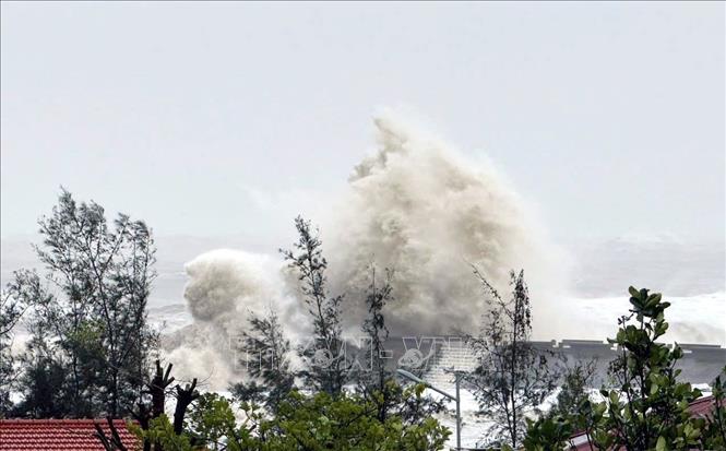 Ảnh minh họa: TTXVN phát