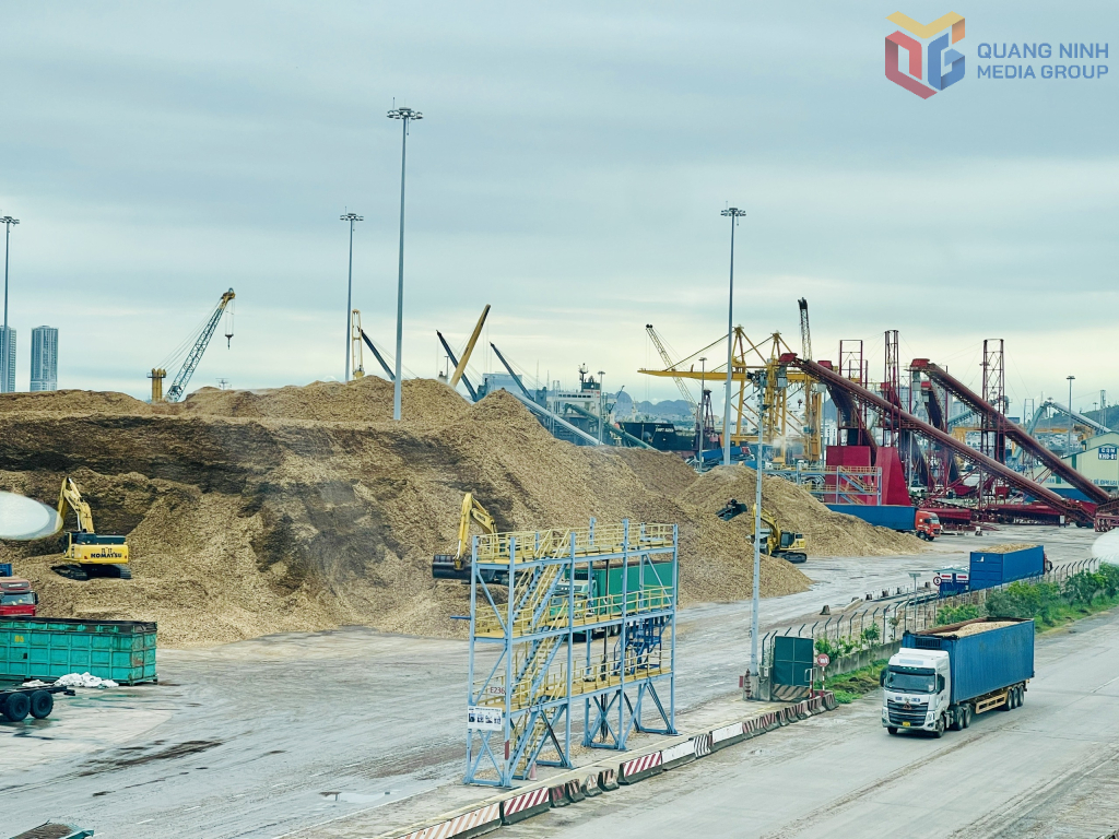 Tàu cập cầu bến cảng Cái Lân chủ yếu là tàu dăm gỗ và tàu nông sản với trọng tải lớn (trung bình từ 50.000DWT trở lên). Tàu cập cầu bến cảng Cái Lân chủ yếu là tàu dăm gỗ và tàu nông sản với trọng tải lớn (trung bình từ 50.000DWT trở lên).