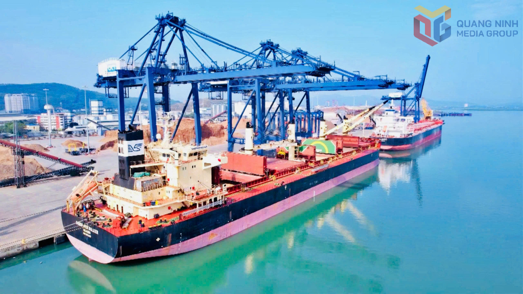 Cần khẩn trương nạo vét luồng cảng Cái Lân