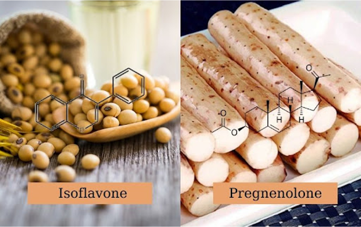 Bộ đôi thảo dược tăng cường nội tiết tố nữ đã được rất nhiều chị em tin tưởng sử dụng