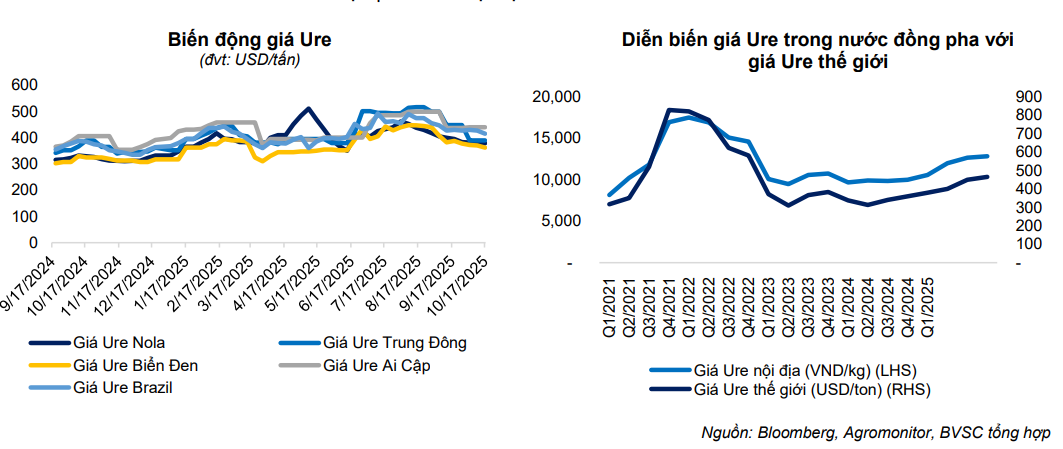 Giá Ure trong nước điều chỉnh tăng theo giá thế giới và nhu cầu cao ở vụ mùa Đông - Xuân, tuy nhiên biến động ở mức độ hẹp hơn