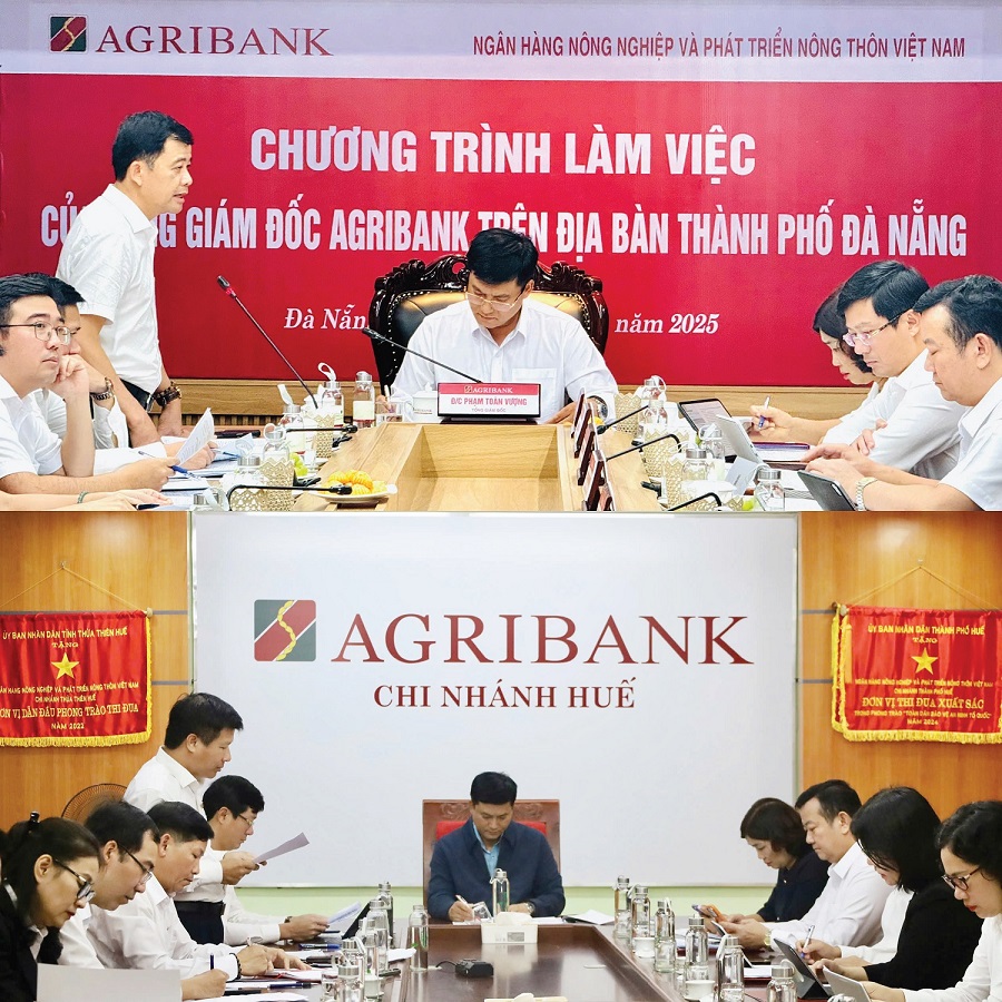 Các chi nhánh báo cáo tình hình hoạt động sau khi sắp xếp theo đơn vị hành chính mới và những thiệt hại do bao lũ Các chi nhánh báo cáo tình hình hoạt động sau khi sắp xếp theo đơn vị hành chính mới và những thiệt hại do bao lũ