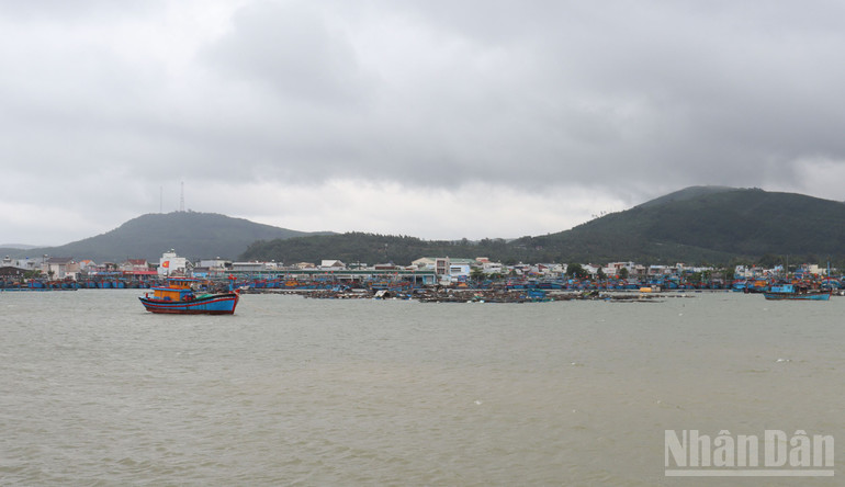 Tàu cá ngư dân phường Sa Huỳnh, tỉnh Quảng Ngãi vào cảng cá Sa Huỳnh neo đậu tránh trú bão số 13.