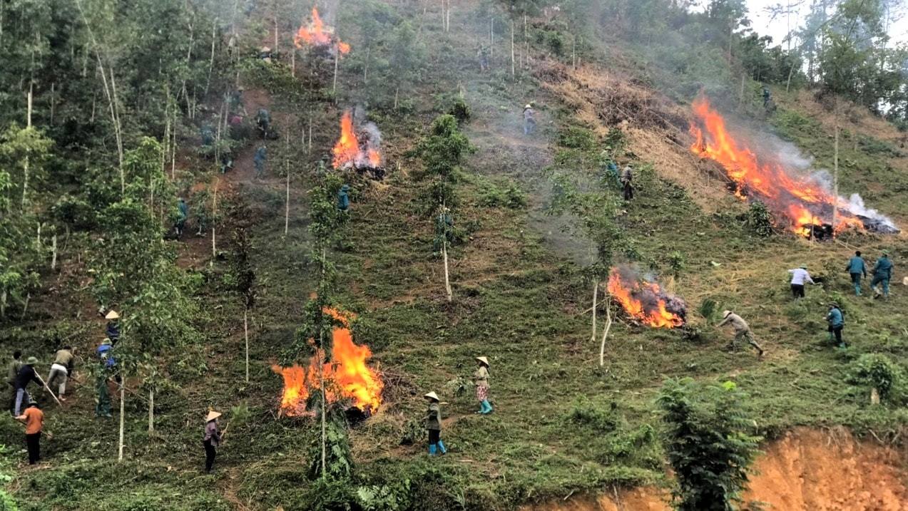 Sở Nông nghiệp và môi trường tỉnh Lào Cai sẽ tổ chức kiểm tra công tác quản lý, bảo vệ rừng; phòng cháy chữa cháy rừng năm 2025 từ đầu tháng 11/2025 đến hết tháng 5/2026.