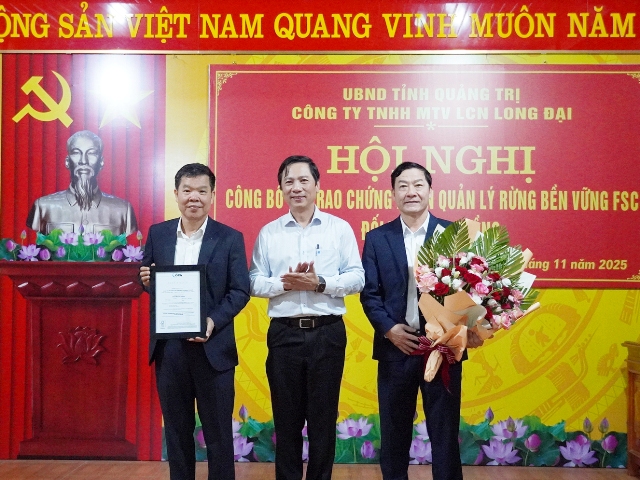Công ty Lâm công nghiệp Long Đại đạt chứng nhận quốc tế về quản lý rừng trồng bền vững