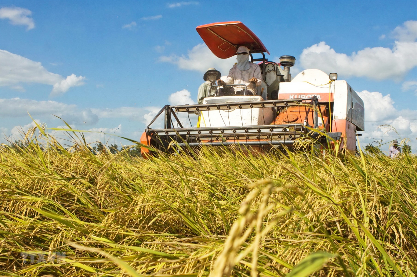 Nông, lâm, thủy sản duy trì ổn định giữa thiên tai, bão lũ