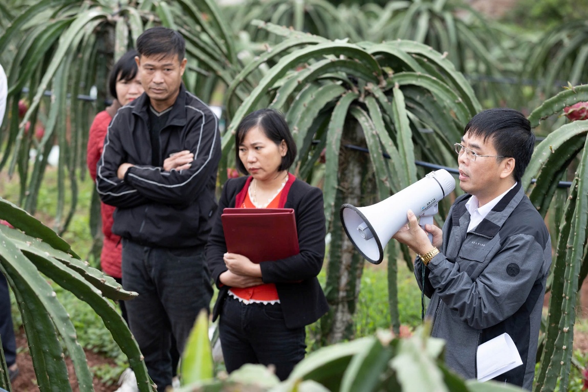 Mô hình góp phần nâng cao hiệu quả sản xuất nông nghiệp bền vững tại Hải Phòng. Mô hình góp phần nâng cao hiệu quả sản xuất nông nghiệp bền vững tại Hải Phòng.