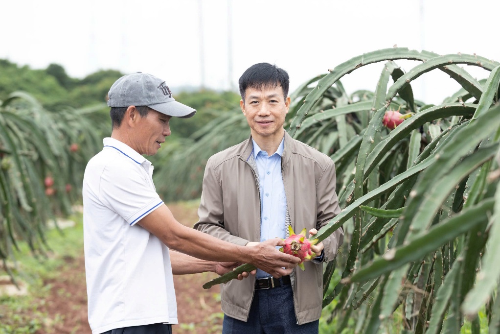 Hội thảo đánh giá giải pháp phòng trừ sâu bệnh trên cây thanh long