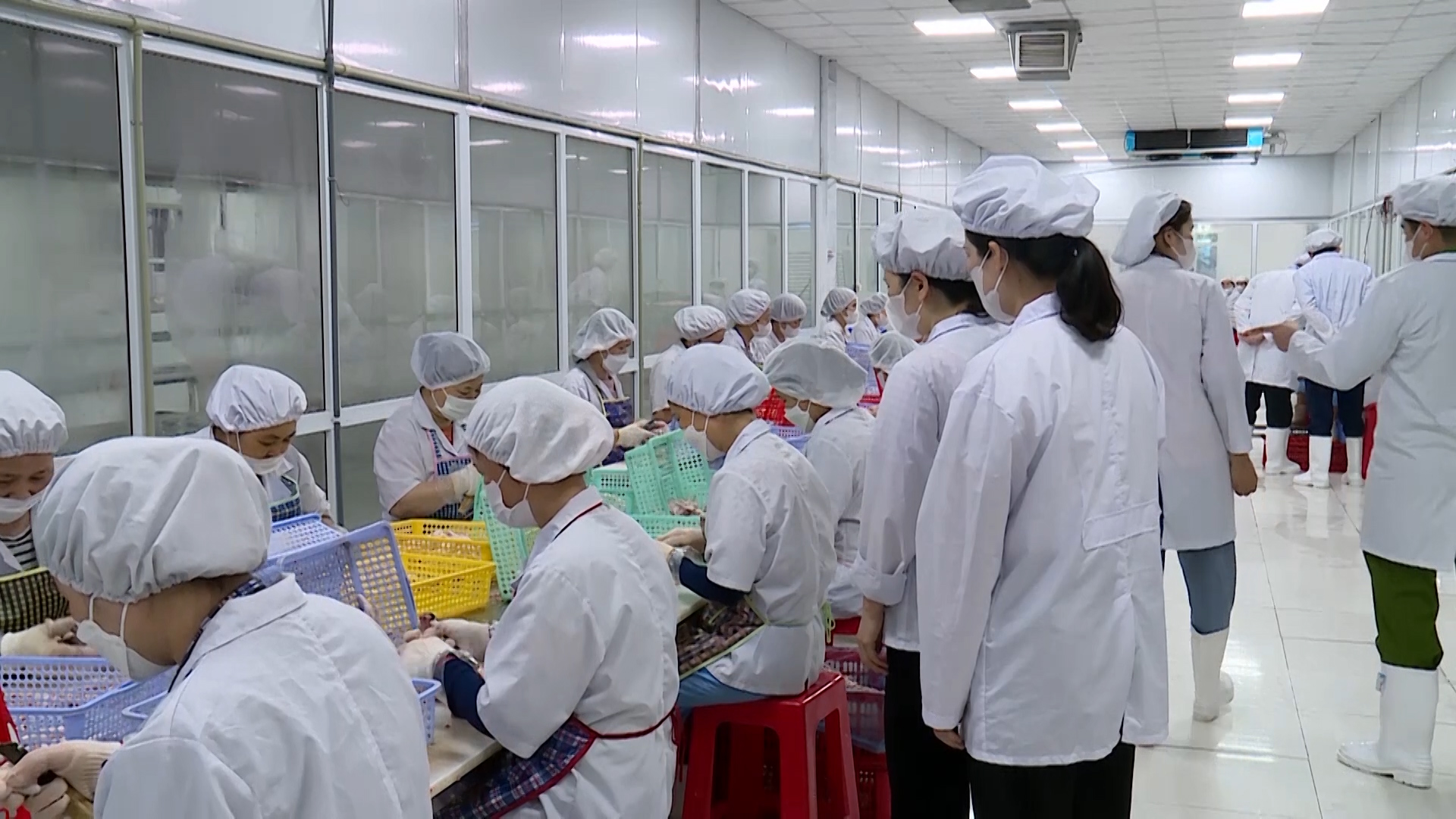 Đoàn kiểm tra liên ngành về ATTP của tỉnh kiểm tra tại Công ty Cổ phần sản xuất xuất nhập khẩu ADP Việt Nam Đoàn kiểm tra liên ngành về ATTP của tỉnh kiểm tra tại Công ty Cổ phần sản xuất xuất nhập khẩu ADP Việt Nam