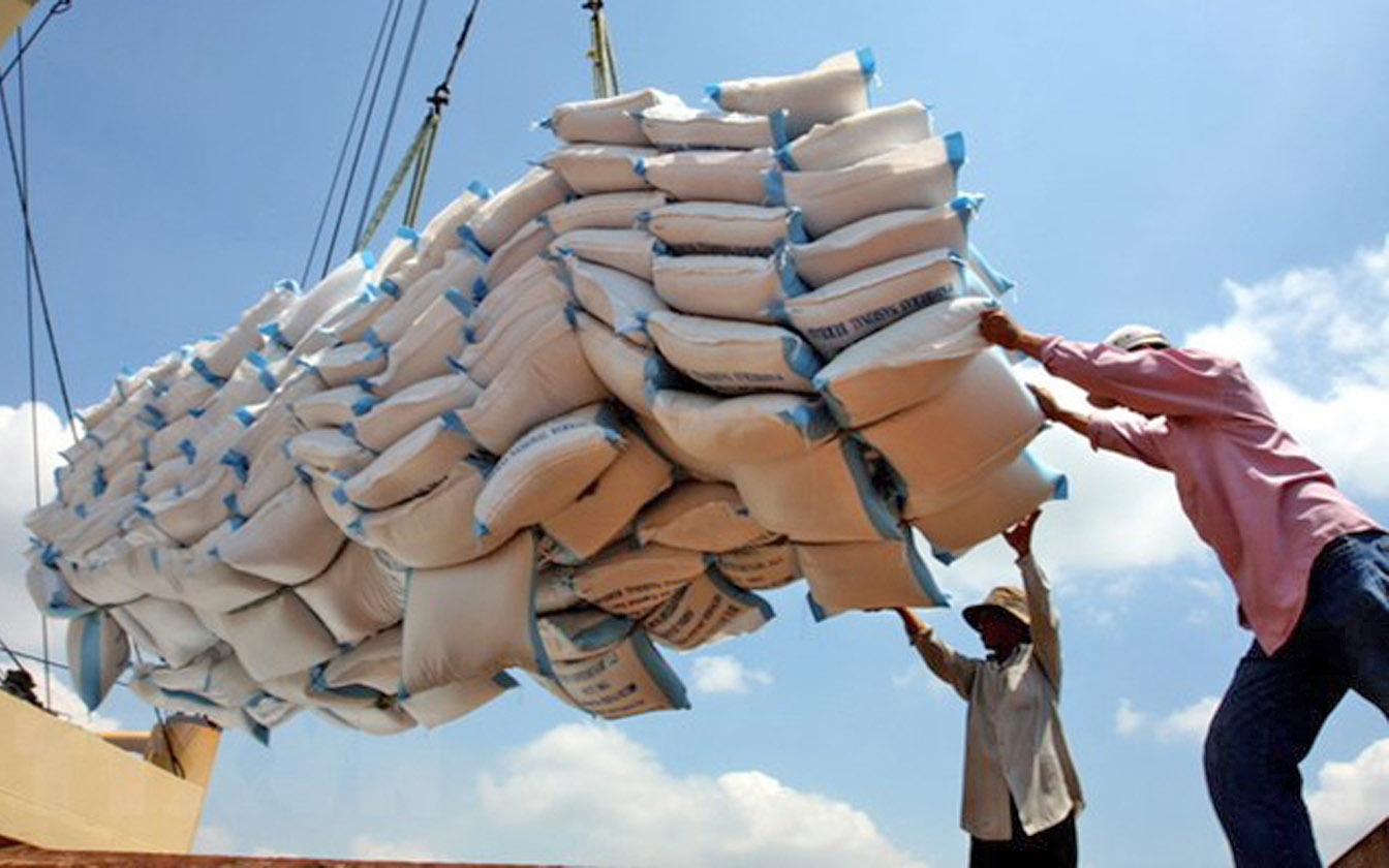 Xuất khẩu gạo Việt Nam chững lại, chờ tín hiệu phục hồi từ thị trường thế giới