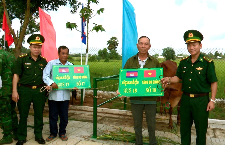 Lãnh đạo BCH BĐBP Tây Ninh trao tặng bò giống cho họ nghèo biên giới