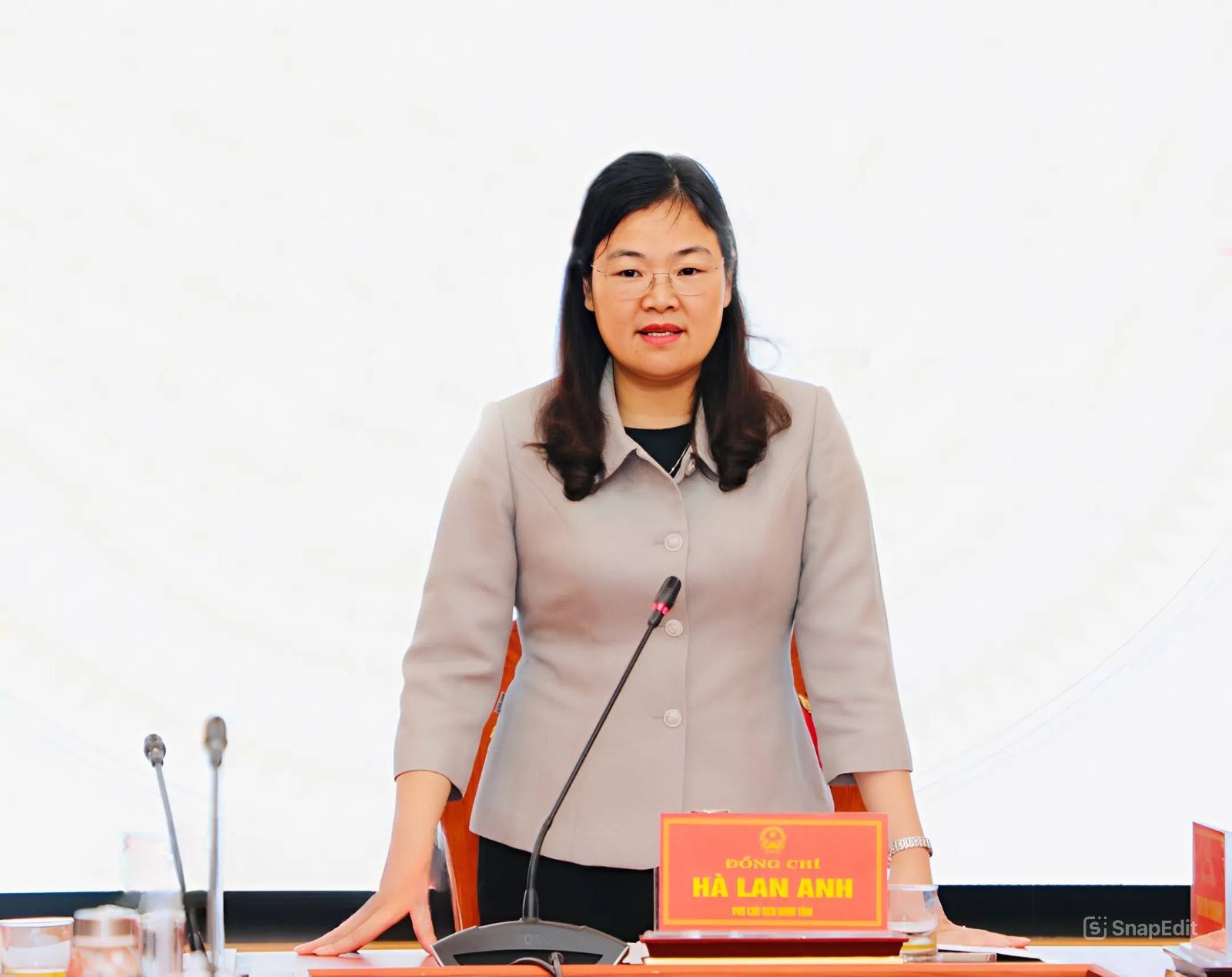 Phó Chủ tịch UBND tỉnh Ninh Bình Hà Lan Anh phát biểu