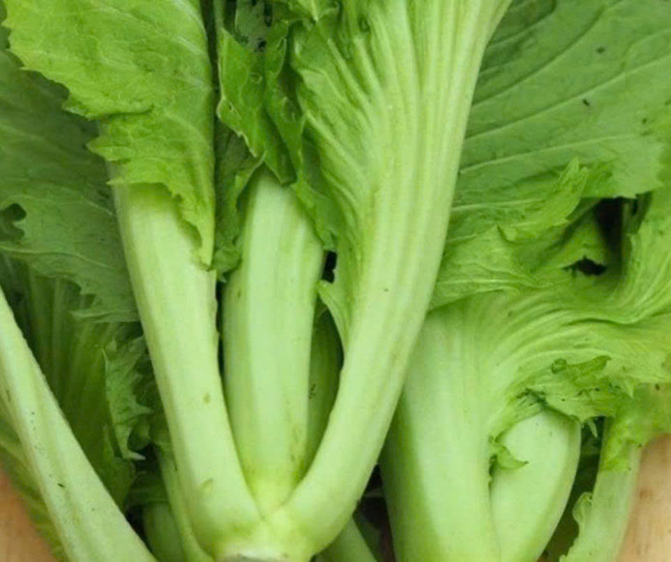 Cải bẹ xanh là “món quà xanh” của tự nhiên, giúp tăng sức đề kháng, bảo vệ tim mạch và làm đẹp da