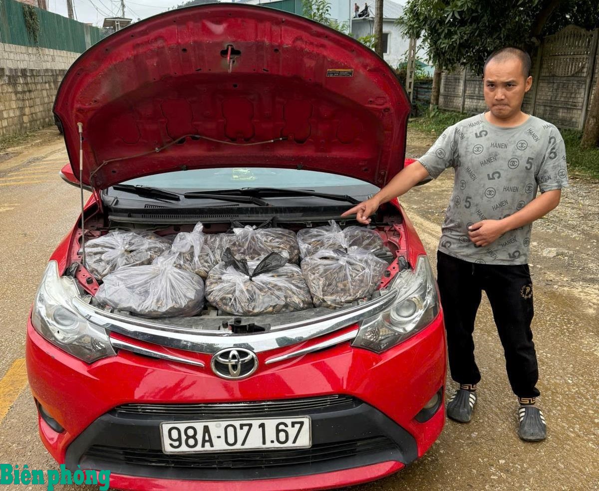 Đối tượng Nông Văn Duy cùng tang vật bị Đồn Biên phòng cửa khẩu quốc tế Trà Lĩnh bắt giữ. (Ảnh: bienphong.com.vn)