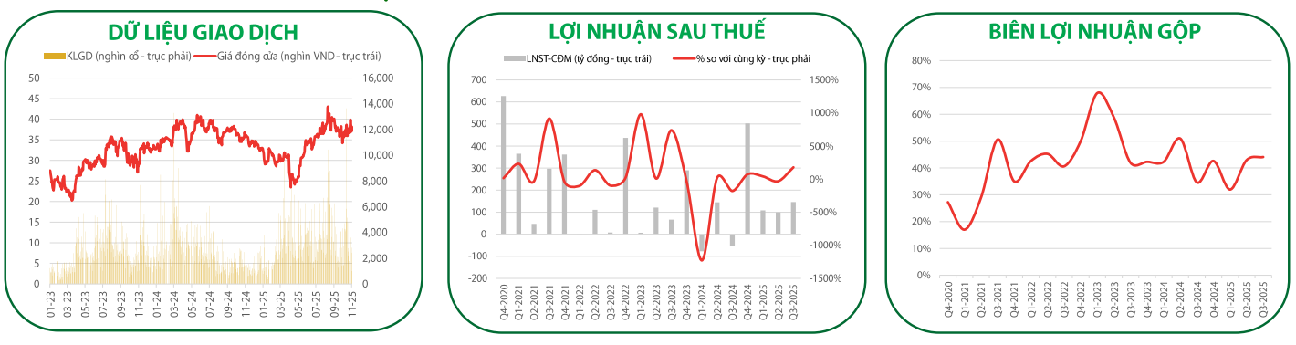 Các chỉ tiêu tài chính quan trọng của NLG (Ảnh: VDSC) Các chỉ tiêu tài chính quan trọng của NLG (Ảnh: VDSC)