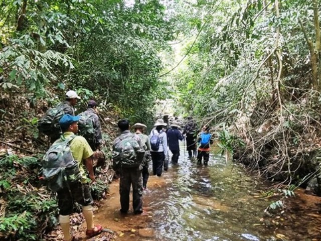 Quảng Trị nhận viện trợ hơn 1 tỷ đồng để phục hồi động vật hoang dã tại Động Châu - Khe Nước
