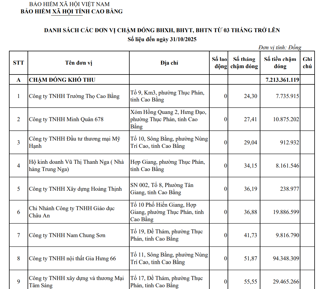 Một phần danh sách 185 đơn vị sử dụng lao động trên địa bàn tỉnh Cao Bằng, chậm đóng bảo hiểm xã hội 3 tháng trở lên. Ảnh: Chụp màn hình