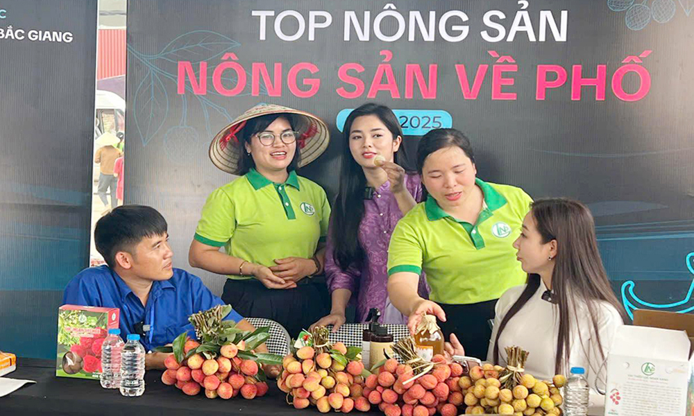 Nhân viên Hợp tác xã Lục Ngạn Xanh (xã Lục Ngạn) và chủ kênh Hưng Vlog tổ chức livestream và chốt đơn vải thiều.