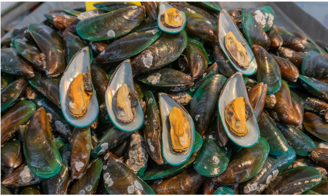 Sản phẩm chứa dầu vẹm xanh giúp cải thiện triệu chứng gai đốt sống hiệu quả Sản phẩm chứa dầu vẹm xanh giúp cải thiện triệu chứng gai đốt sống hiệu quả