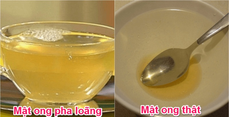 Chuyên gia mách mẹo phân biệt mật ong rừng thật – giả đơn giản ngay tại nhà