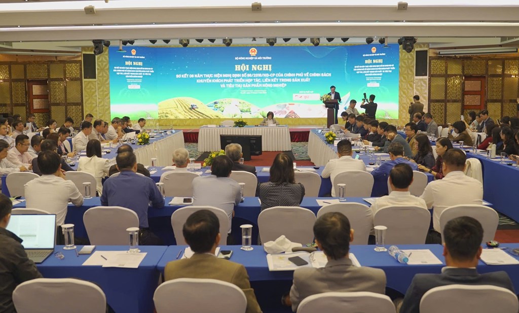 Quang cảnh hội nghị