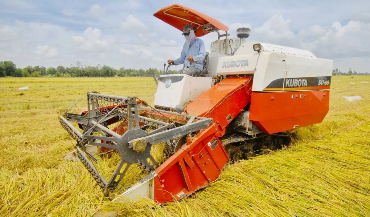 Giá lúa gạo hôm nay 13/11: Gạo nguyên liệu xuất khẩu biến động. (Ảnh minh họa) Giá lúa gạo hôm nay 13/11: Gạo nguyên liệu xuất khẩu biến động. (Ảnh minh họa)