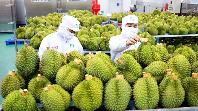 Tăng giá trị nông sản Việt để chinh phục thị trường EU