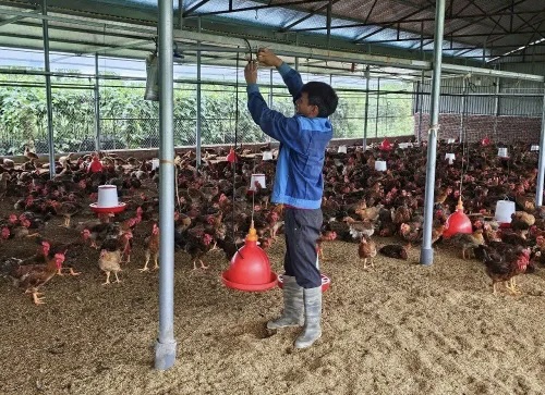 TP. HCM: Tiến hành quan trắc, giám sát môi trường để cảnh báo dịch bệnh đối với ngành chăn nuôi