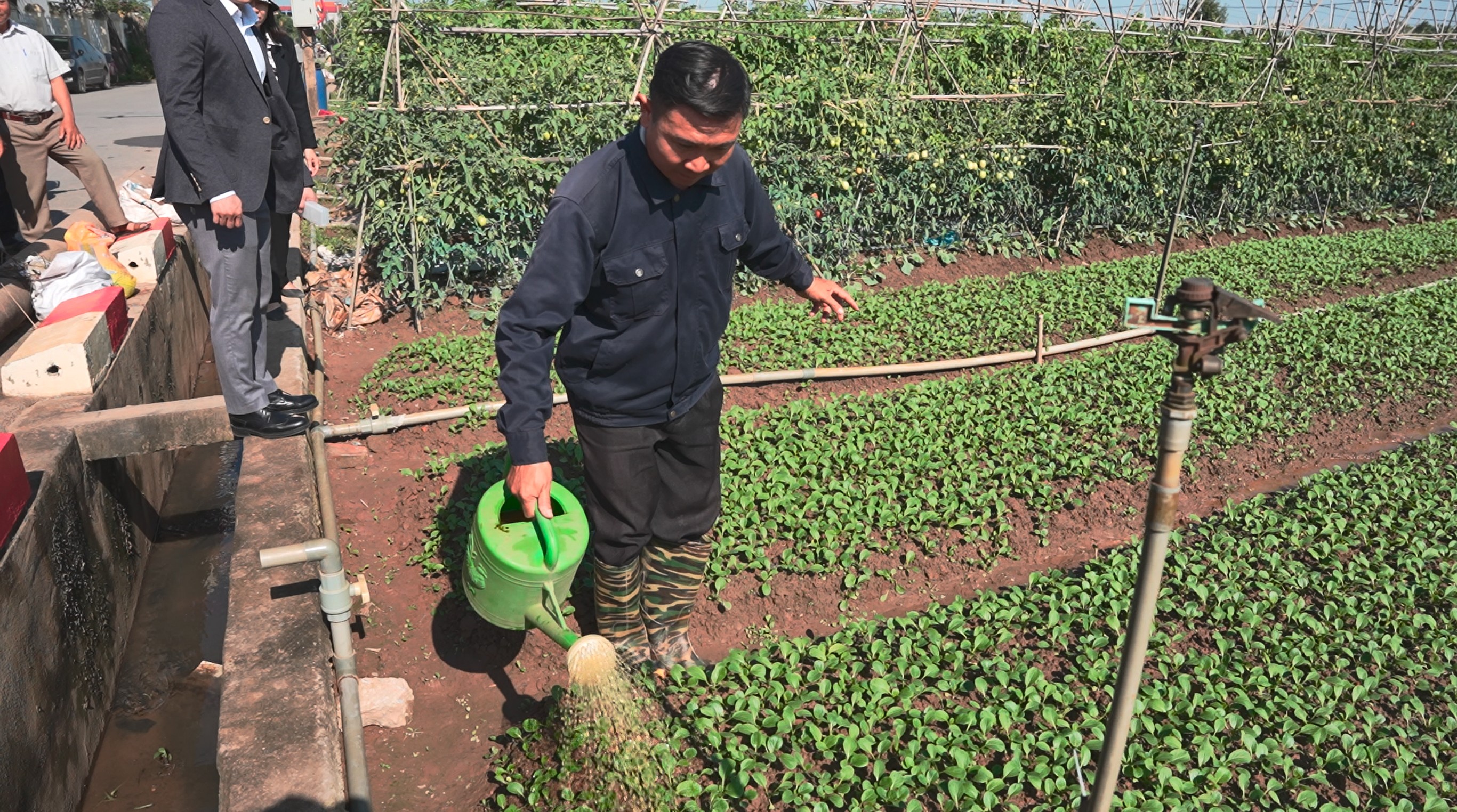 Nông dân Mê Linh hào hứng trải nghiệm chế phẩm hữu cơ - Triển vọng về nông nghiệp xanh bền vững