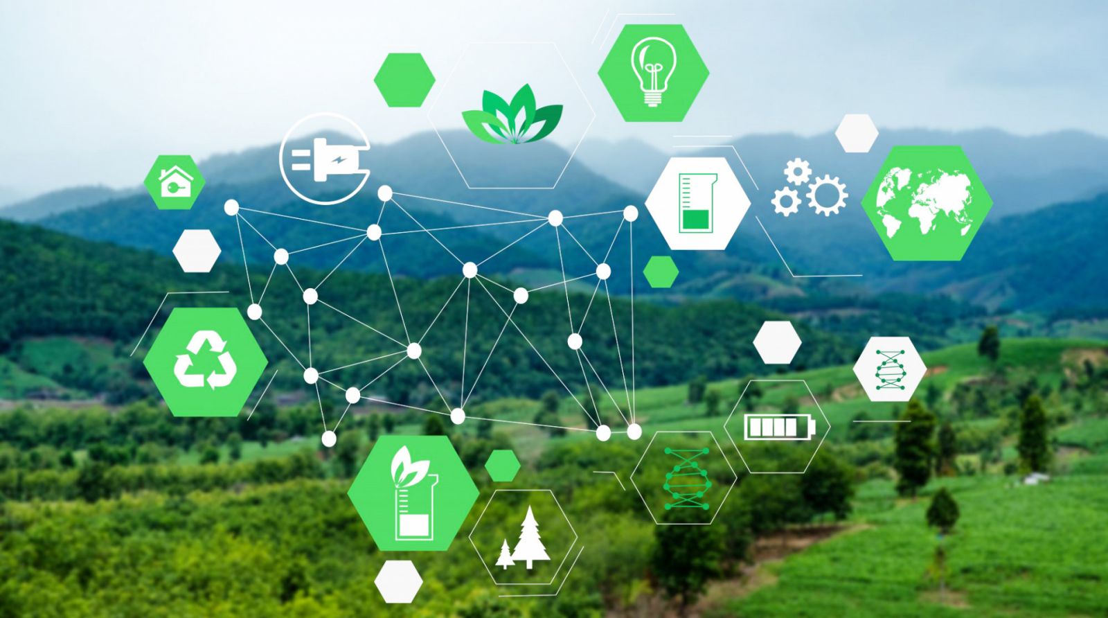 Tiêu chuẩn xanh – Công cụ then chốt thúc đẩy chuyển đổi xanh và phát triển bền vững tại Việt Nam