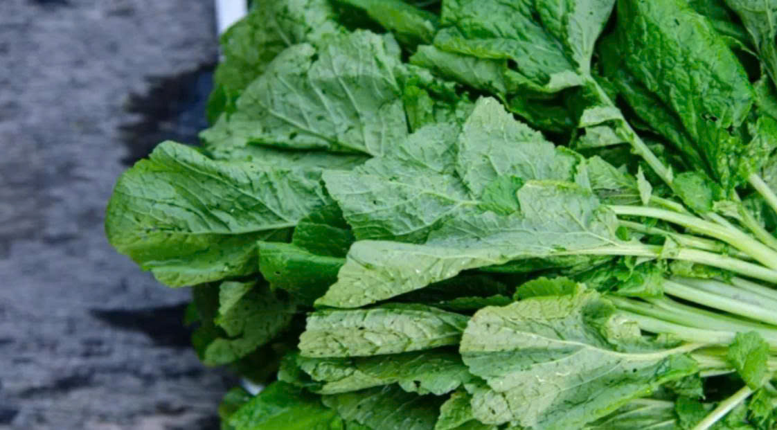 Loại rau quen thuộc, vị cay the nhưng siêu bổ tim và chống lão hóa