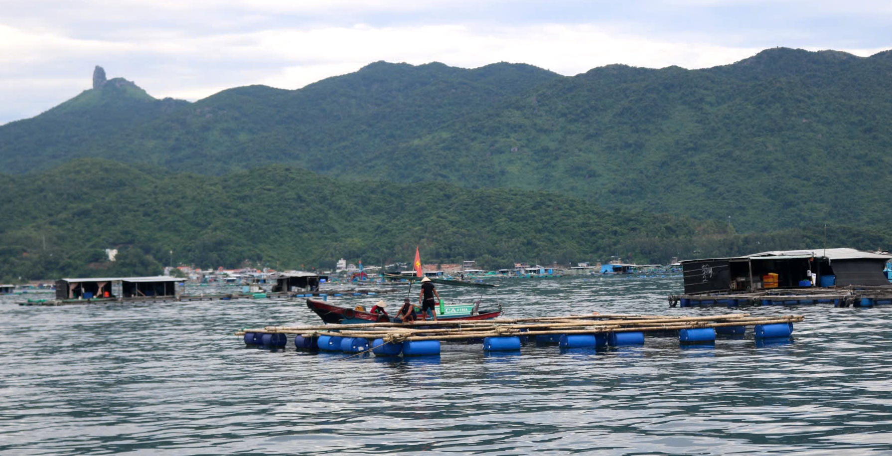 Vùng nuôi trồng thủy sản tại vịnh Vũng Rô. Vùng nuôi trồng thủy sản tại vịnh Vũng Rô.
